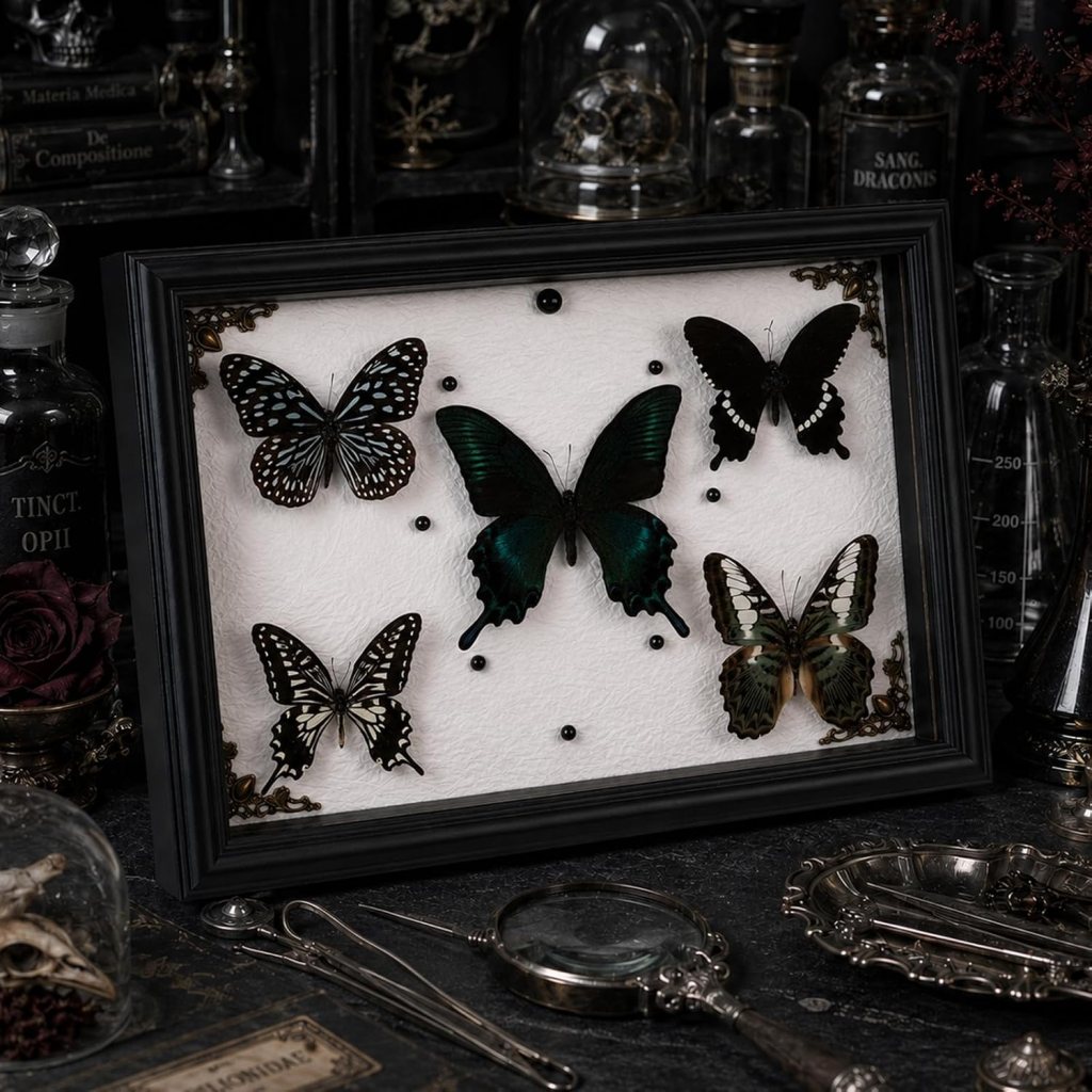 A framed display of various butterfly specimens with dark backgrounds and intricate details, surrounded by antique scientific equipment.